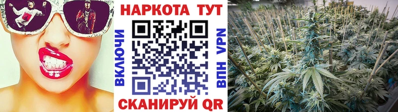 A PVP Саратов
